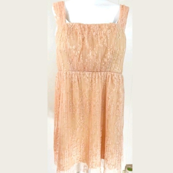 Forever 21 Plus Blush Lace Pleated Dress - Picture 1 of 4